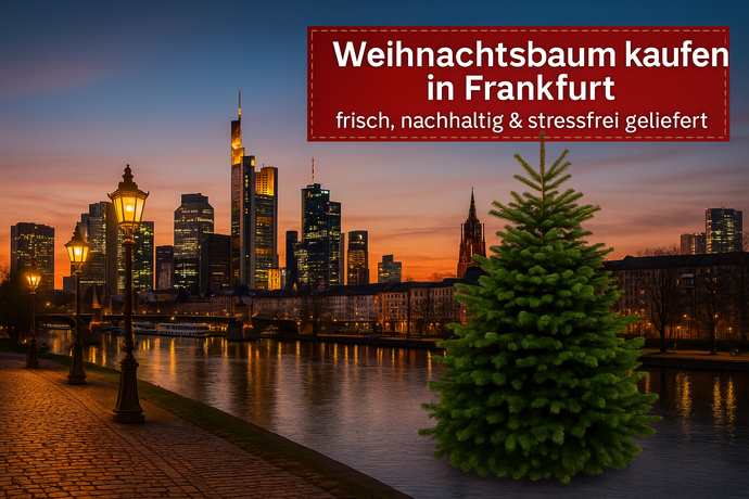 🎄 Weihnachtsbaum kaufen in Frankfurt – stressfrei, frisch & direkt vom Forsthof