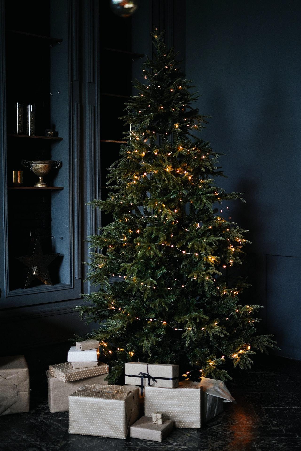 echter Tannenbaum Weihnachtsbaum Christbaum Premium – WOLF Weihnachtsbaum-kaufen Nordmanntanne